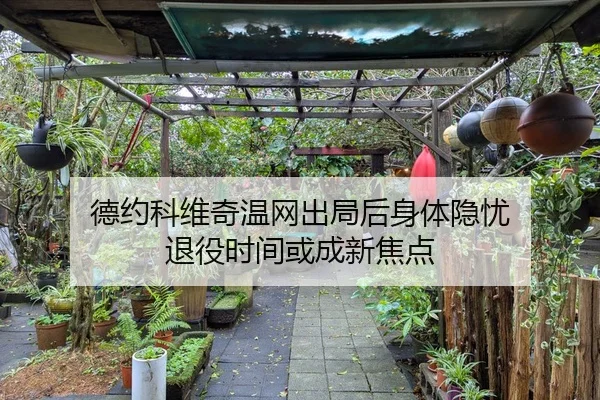 de-yue-ke-wei-qi-wen-wang-chu-ju-hou-shen-ti-yin-you-tui-yi-shi-jian-huo-cheng-xin-jiao-dian-2-293.jpg
